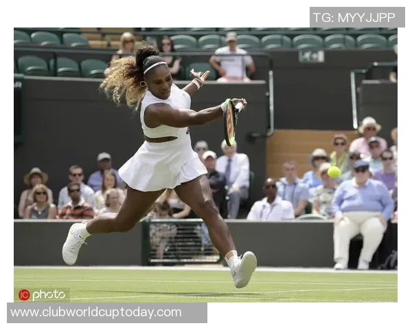 小威与纳瓦罗激战回顾经典对决再现网坛巅峰时刻